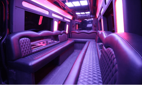 Doral 14 Passenger Sprinter Bus Interior