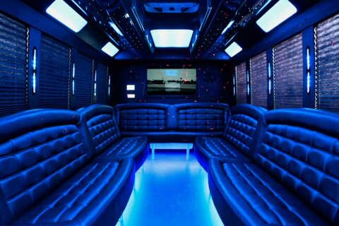 Davie 36 Passenger Party Bus Interior