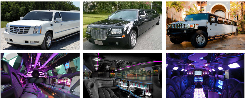 Wedding transportation Party Buses